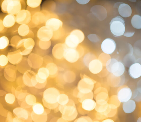 Cos'è Il Bokeh Nella Fotografia e Come Crearlo?