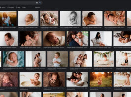 Come Sfogliare Tutte Le Immagini Di Un Sito Web Su Google e Bing